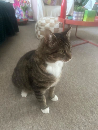 Milo