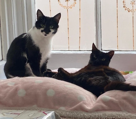 Mabel & Hope