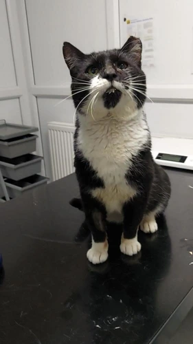Reginald