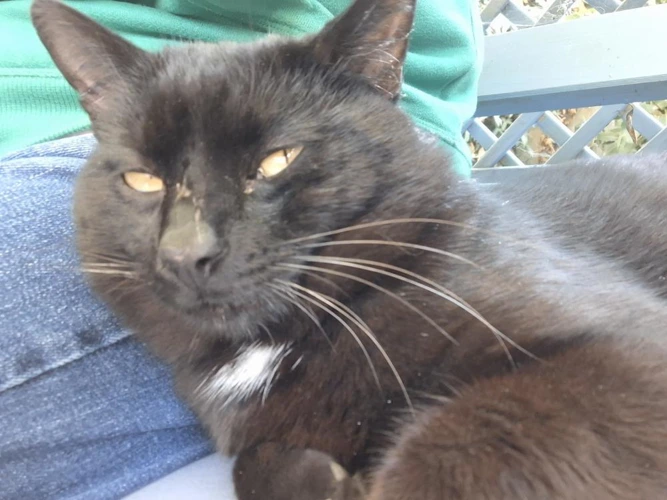 Sid