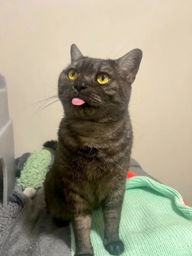 Max