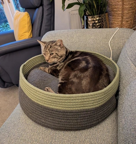 Tom