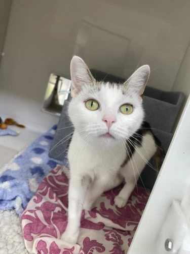 Della