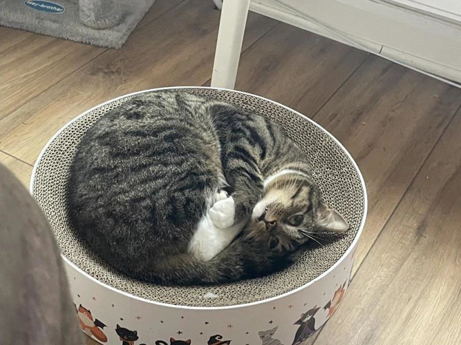 Fufu