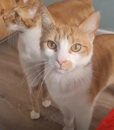 Oliver & Jim