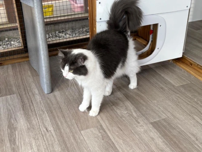 CoCo