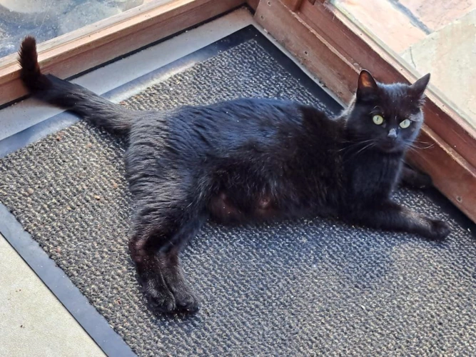 Winifred