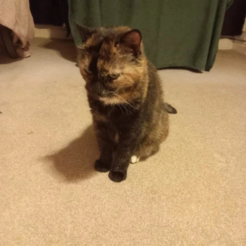 Millie