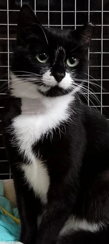 Bonnie