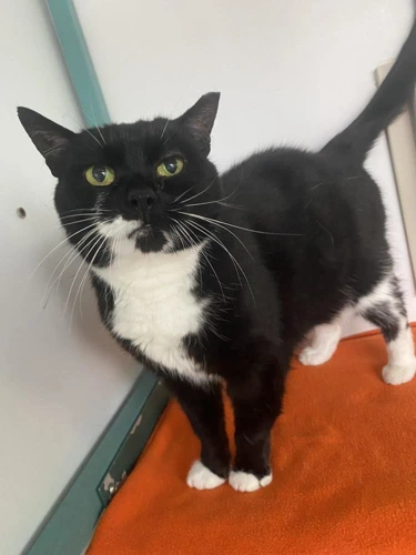 Kiki