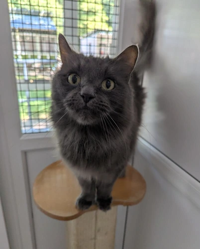 Milo