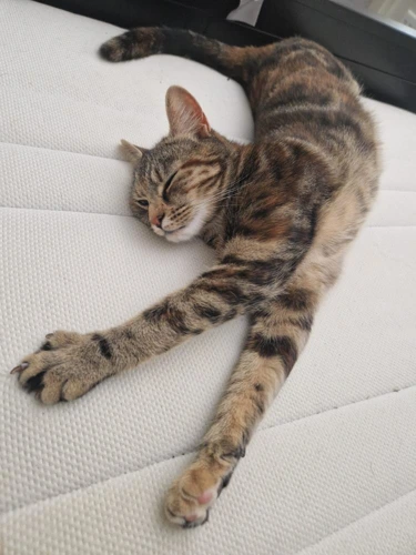 Ruby 1y female