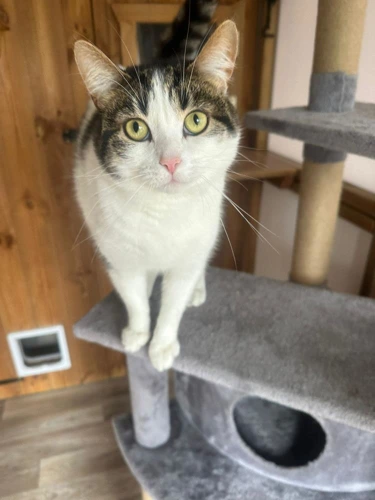 Marley
