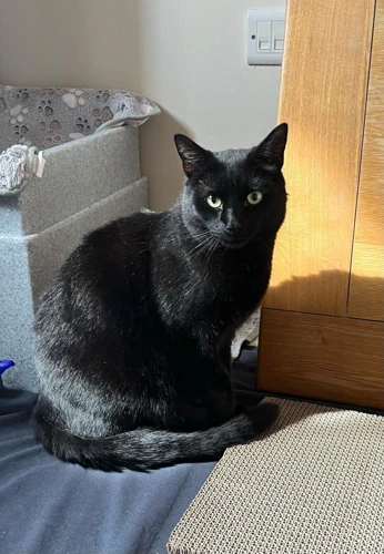 Max