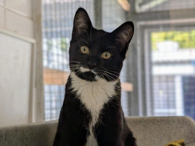 Fran