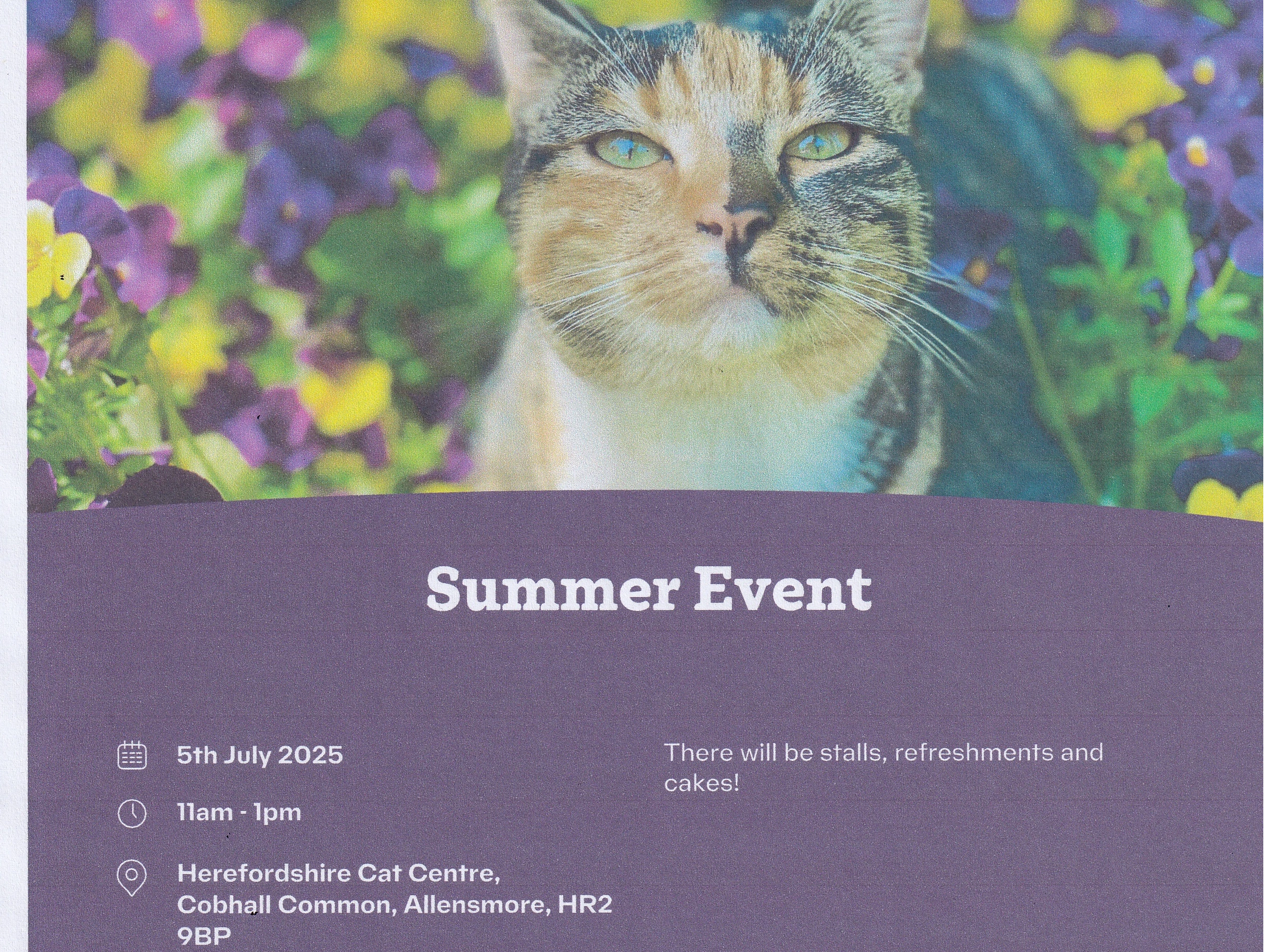 Summer event