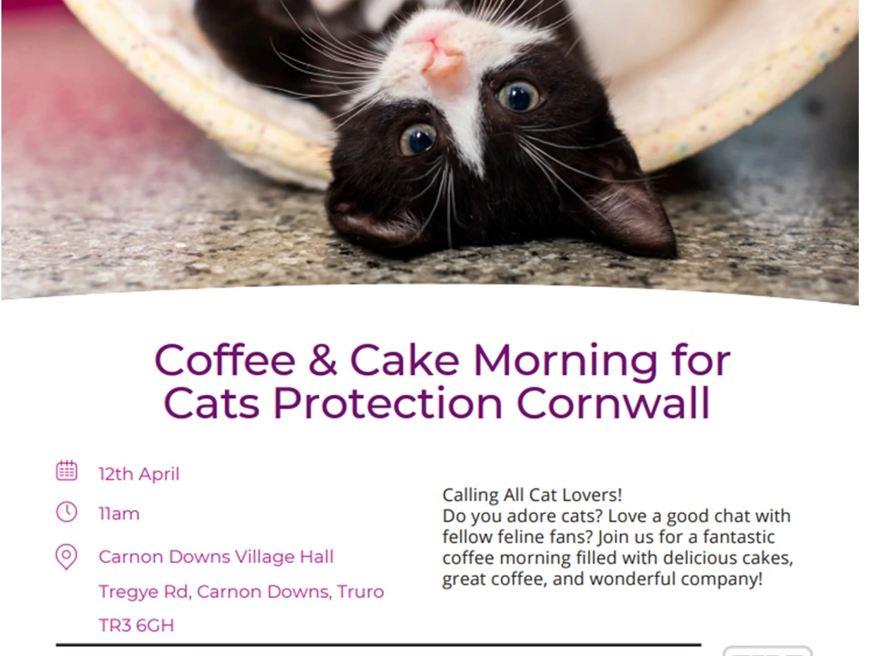 COFFFEE, CAKE & CAT LOVERS
