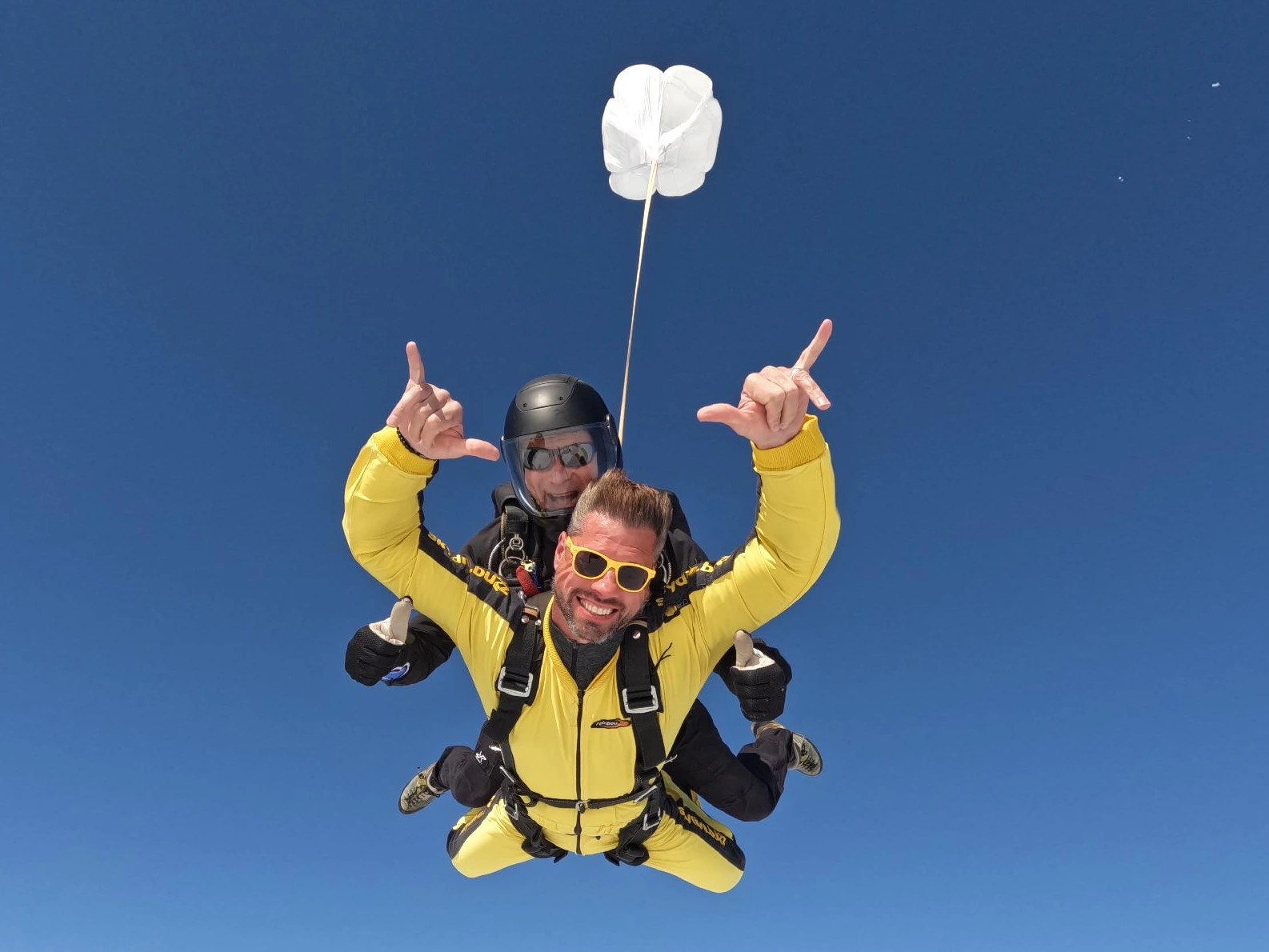 Devon Skydive for Cats!