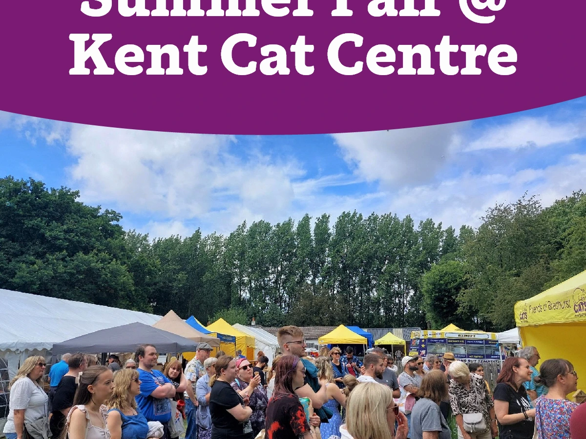 Summer Fair 2025