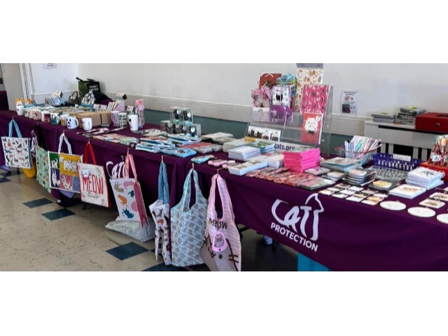 stall at Locks Heath Shopping Village Charity Day