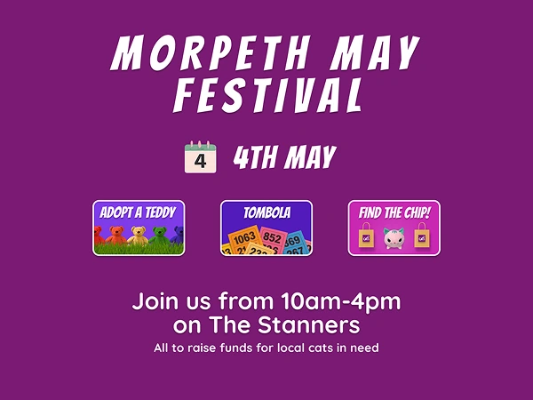 Join us at the Morpeth May Festival!