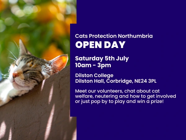 Cats Protection Stall at Dilston College