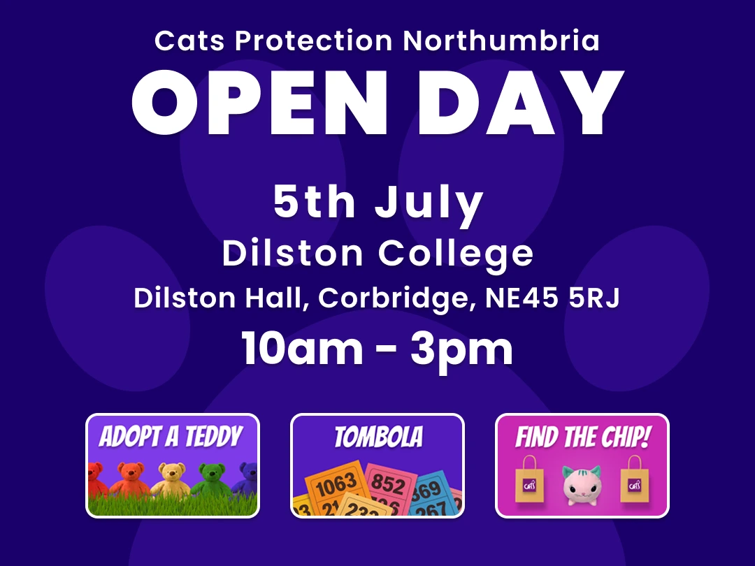 Cats Protection Stall at Dilston College