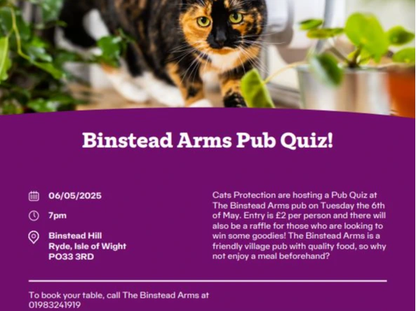 Quiz Night for Cats Protection