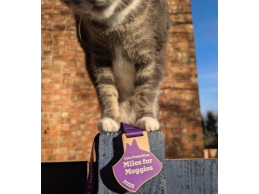 Miles for Moggies - anytime in the month of May 2025