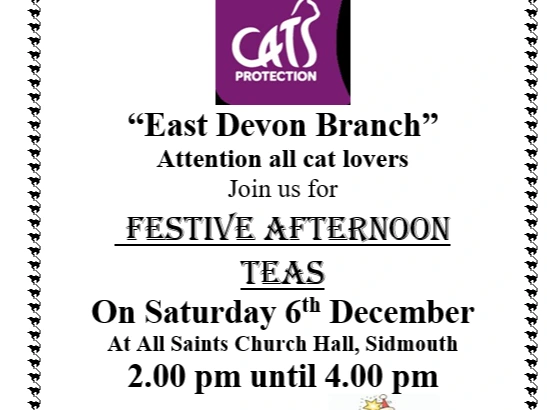 Festive Afternoon Teas