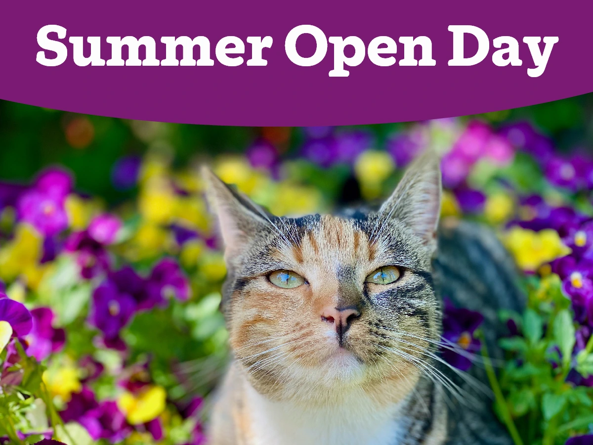 Summer Open Day