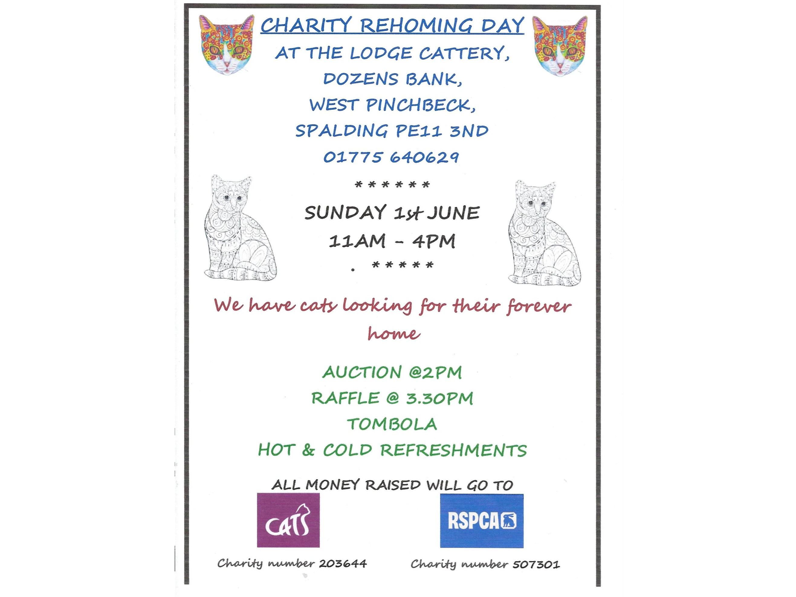 Charity rehoming day
