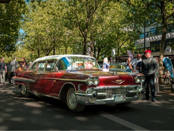 Join Cats Protection Swale at the Classic Car Show and Family Day Out