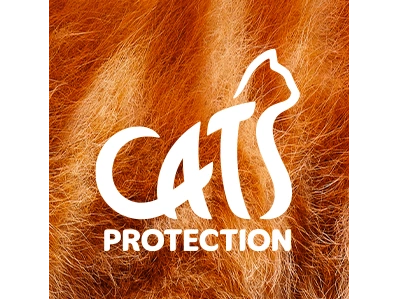 Summer fete at the Surrey Cat Centre, Haslemere