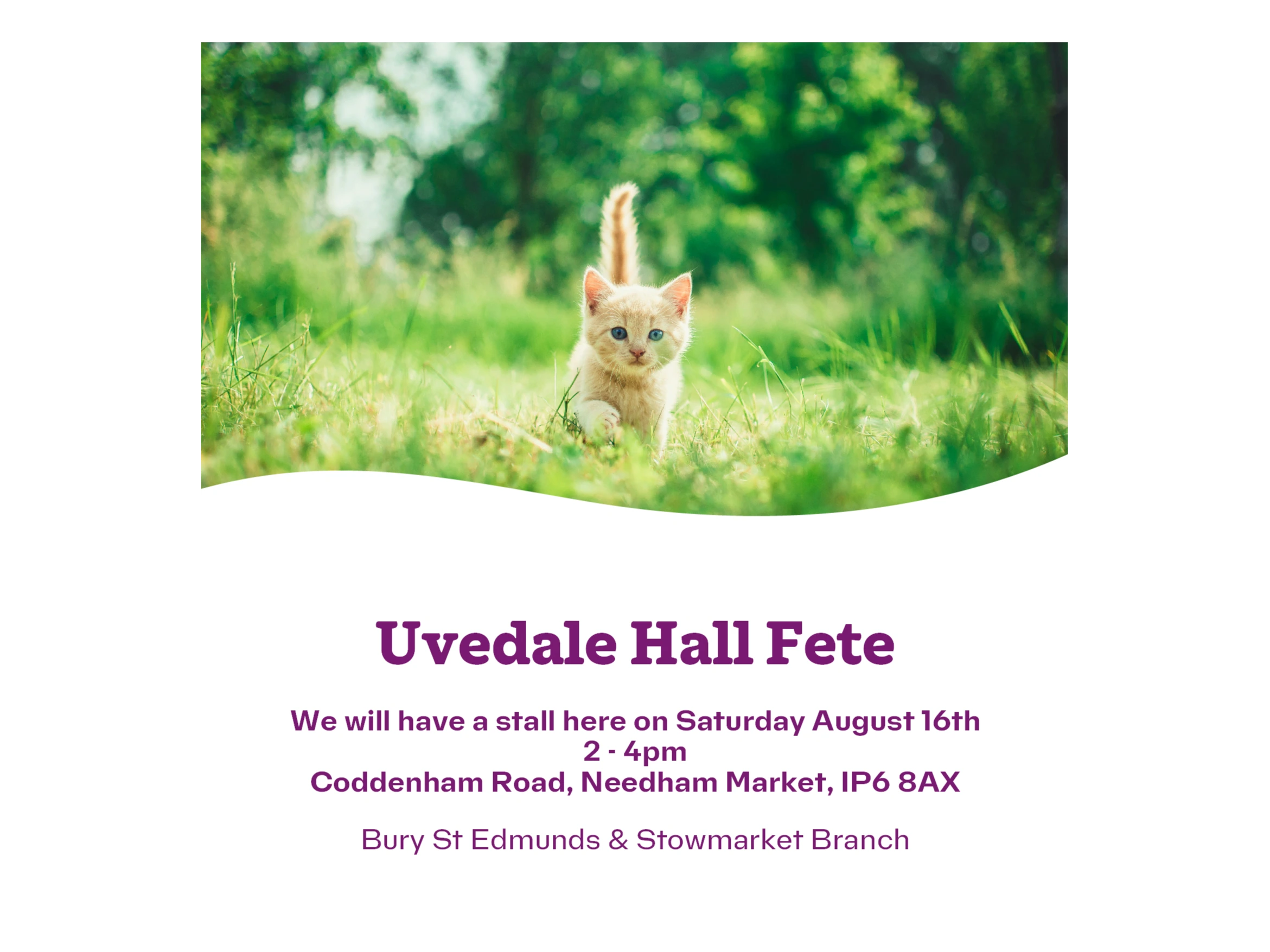 Uvedale Hall Fete