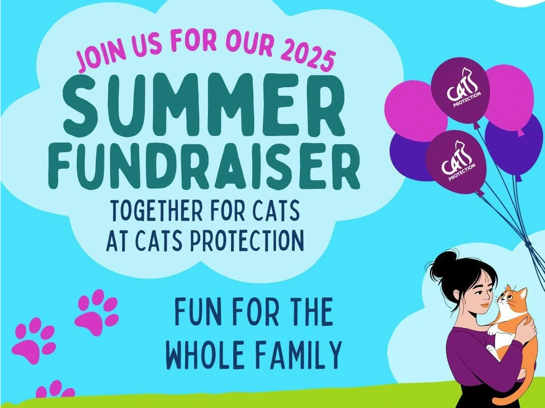 Summer Fundraiser: Together for Cats!