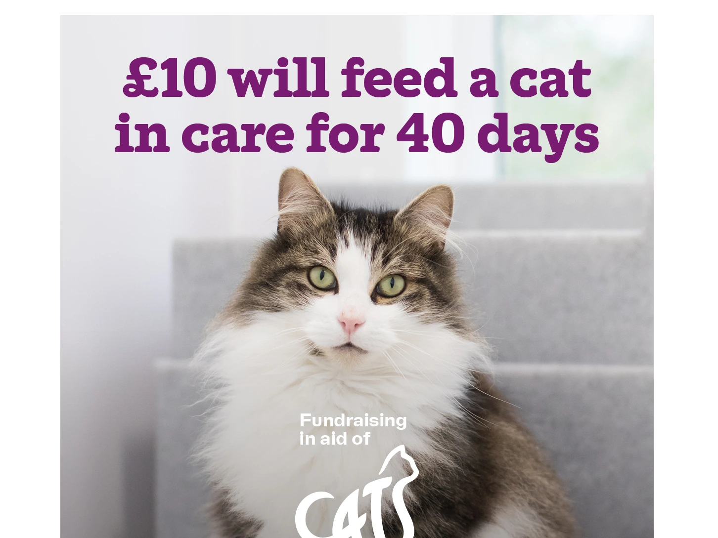 Join us at Torbridge Vets