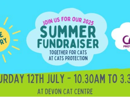 Join Us at Devon Cat Centre