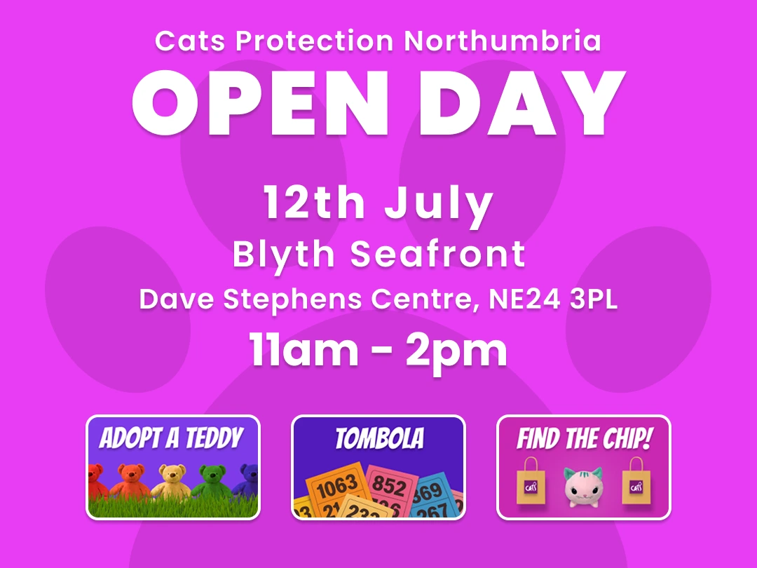 Cats Protection Open Day – Blyth Seafront