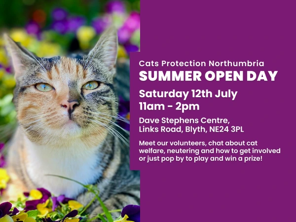 Cats Protection Summer Open Day