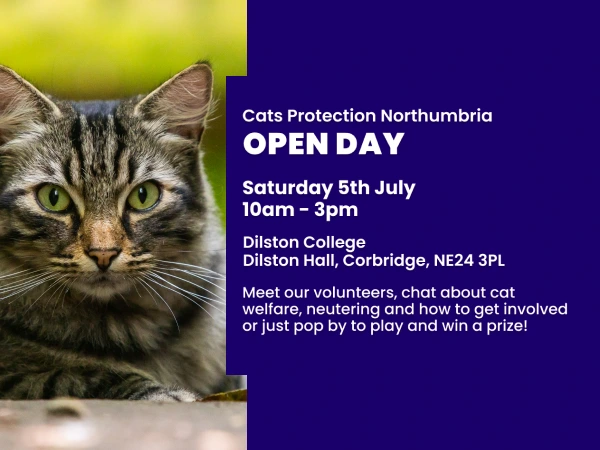 Cats Protection at Dilston College