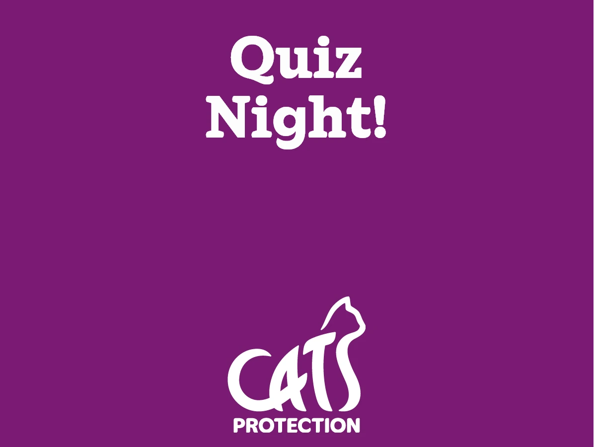 Quiz Night
