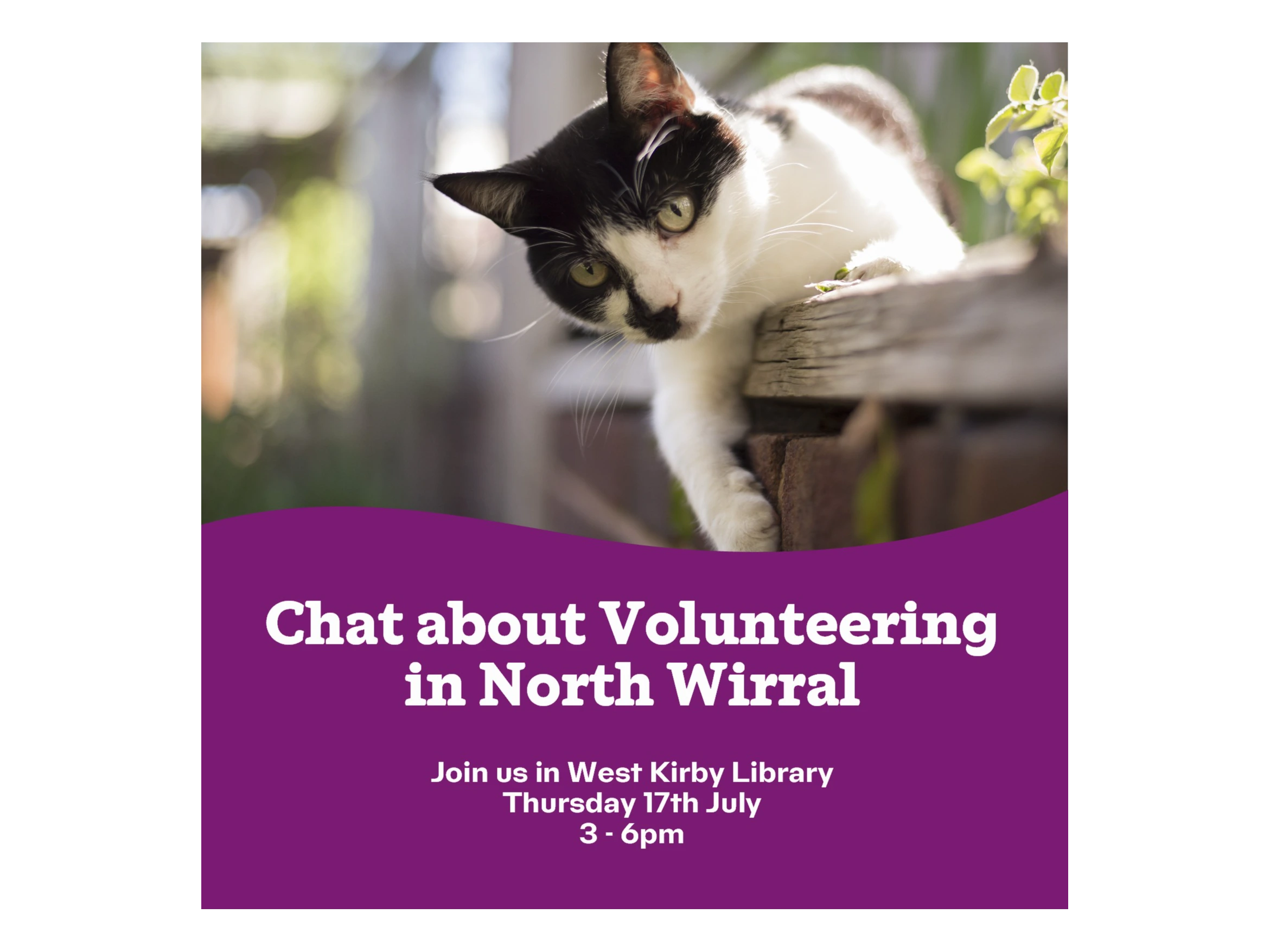 Come and have a friendly chat about volunteering