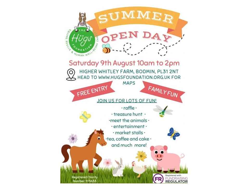The Hugs Foundation Summer Open Day - 10am til 2pm