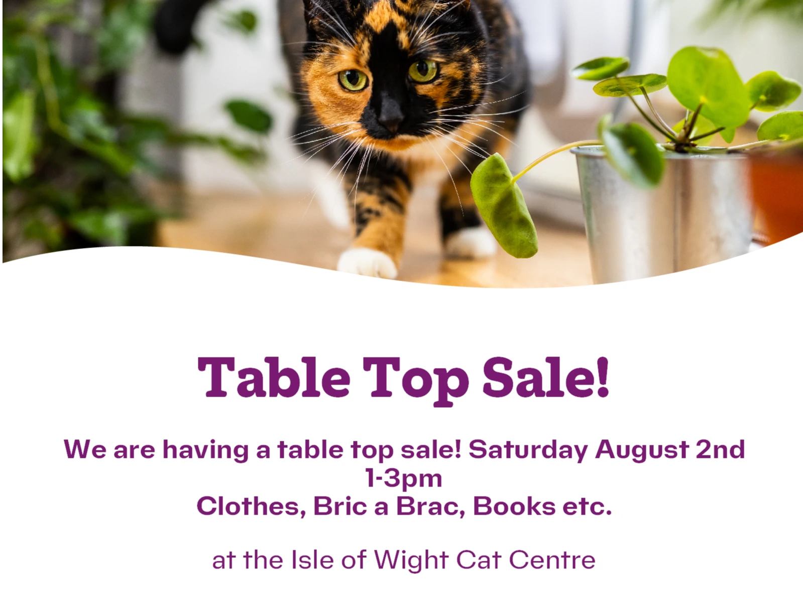 Tabletop Sale