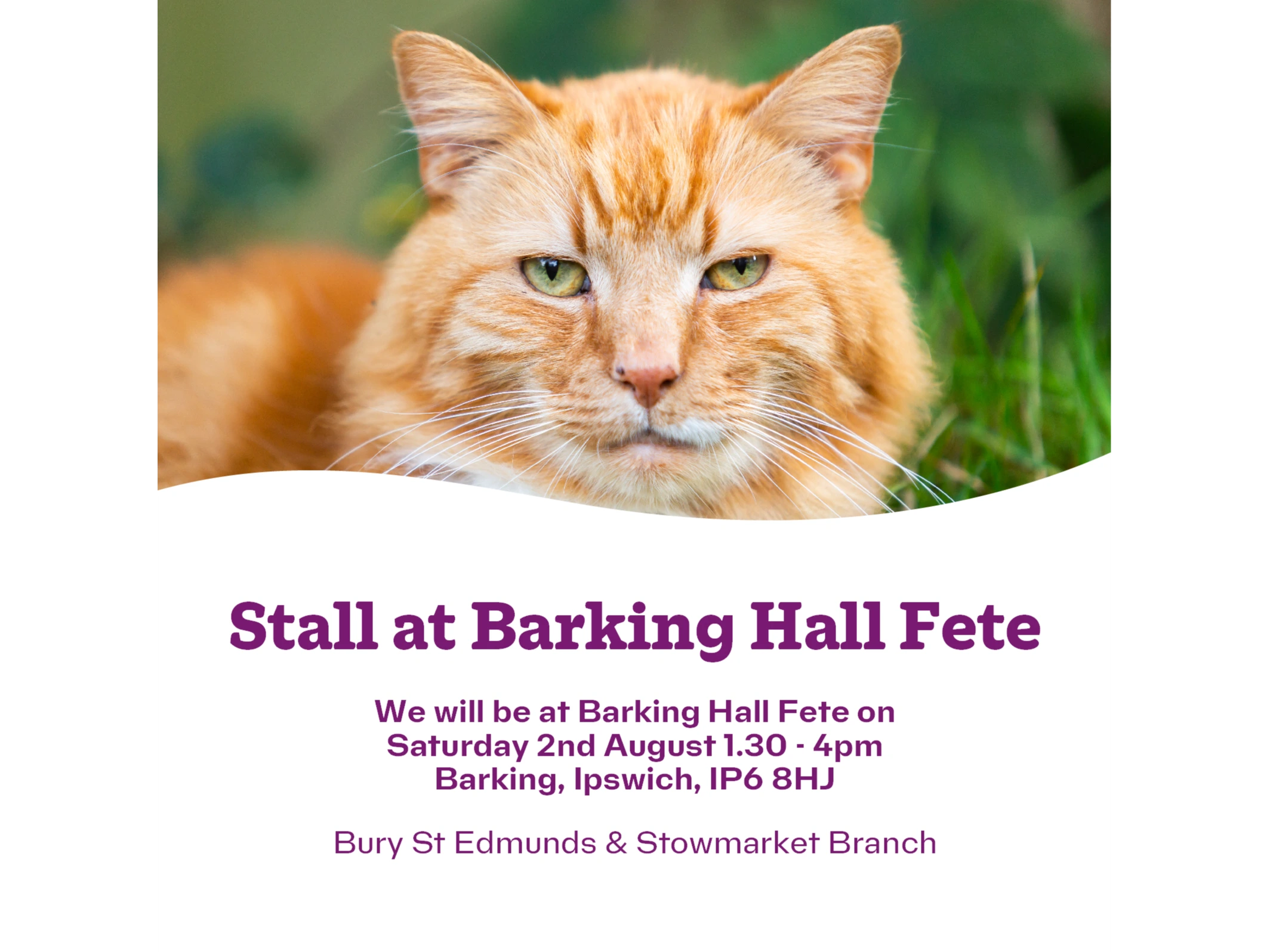 Please come along and see us!