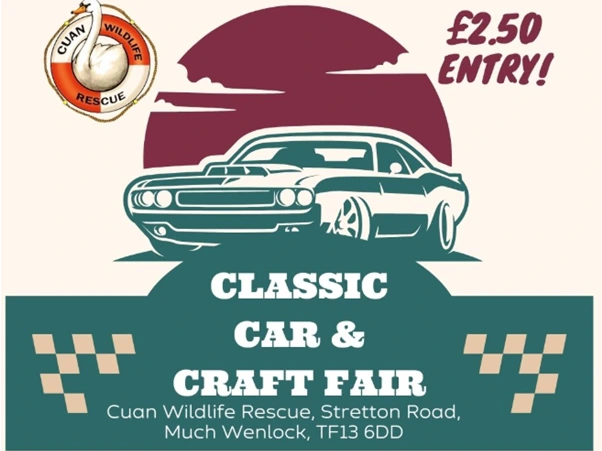 Cats Protection at Classic Car & Craft Fair