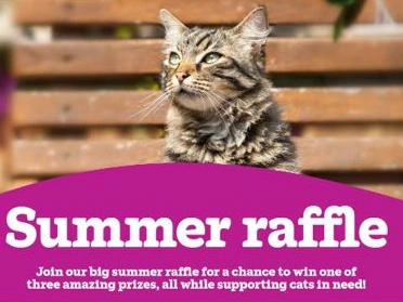 Midsomer Norton & Radstock Summer  Raffle