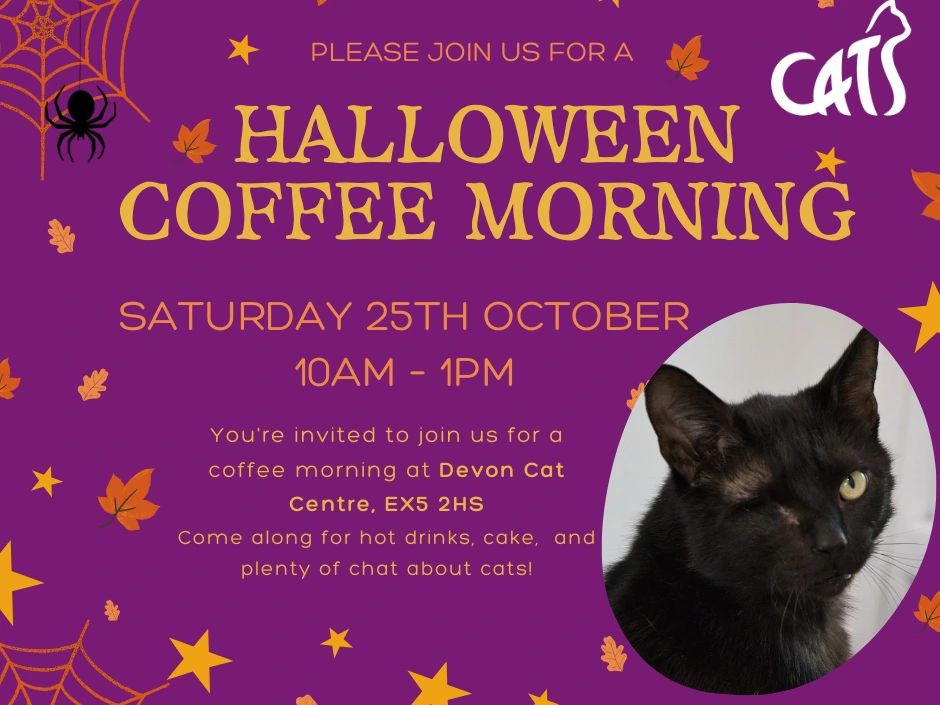 Halloween Coffee Morning