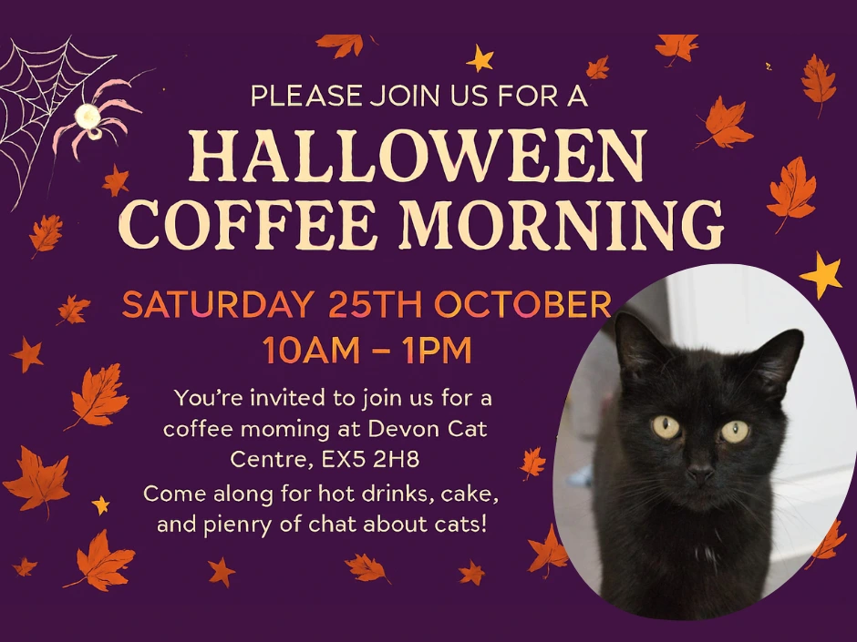Halloween Coffee Morning